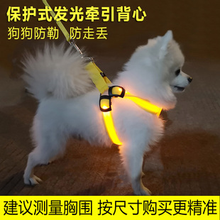 Dog traction rope vest LED luminous chest back Teddy chain summer luminous small dog luminous traction rope