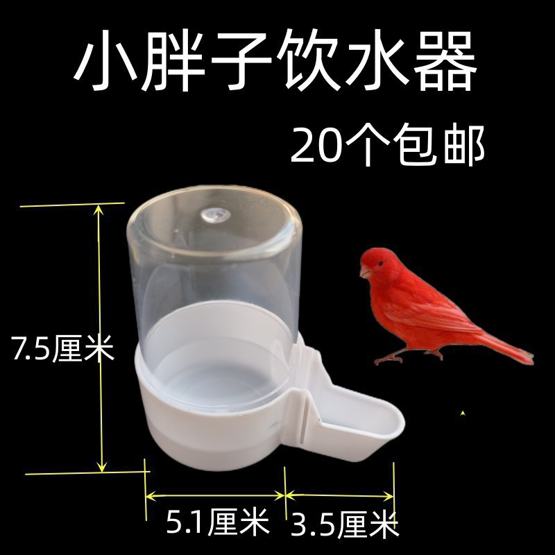 鳥用ソフトフードプレート、フードボウル、分離フードボックス、翡翠鳥、ハイビスカス鳥、カナリア、ゴールデングリーンアッシュスワロー、シスターズバード、オウム|undefined