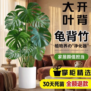 ������͏d�Gֲ�����Դ��~�_���Ϙ��k���ҿ͏d�����՚���B���辰