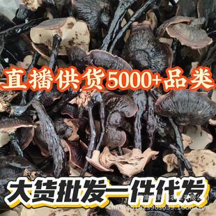 �`֥���`֥���`֥����Ƭ�Ҝ���ˮ���`֥���һ�����l�a�����l