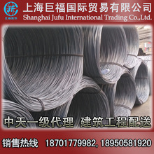 ����P��/�ļ�����P�� ��̖HRB500E ֱ��12mm�P���܈����䓽�