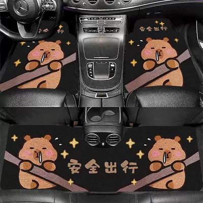 Sand and Dust in the Car, Universal Foot Pad