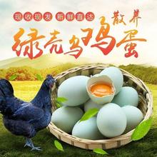 乌鸡蛋绿壳乌鸡蛋散养乌鸡蛋土鸡蛋山林原生态正宗散养大量批发