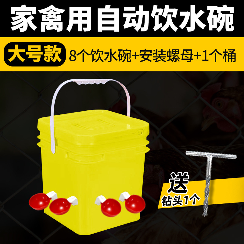 Bebedero automático para criar pollos, pollo, pato, ganso, cuenco de agua, paloma, cuenco de agua, codorniz, aves, aves, pollitos, artefacto de alimentación de agua