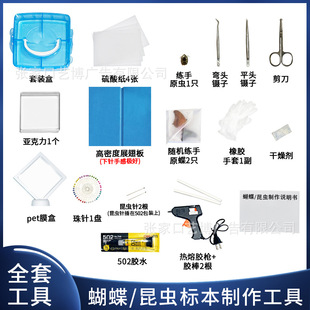 Butterfly specimen handmade diy production material insect needle fin plate insect specimen box tool suit full set
