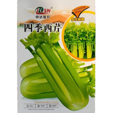 ۷Nļˬ۲˷NӸ߮ą߲ͥ˷N