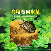 ���׾Gֲ�������쾰����ˮ���B����Ƽ����ˮ��ֲ�����ˮ�|
