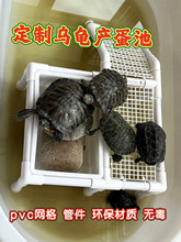 �����������µ���ˮ���a����ɳ��ĸ���µ��������ɳ�P��ֳ��