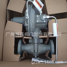 ����ȼ���{���� ZZYVP ZZVPй���y����ʽ�����y FISHERȼ��p���y