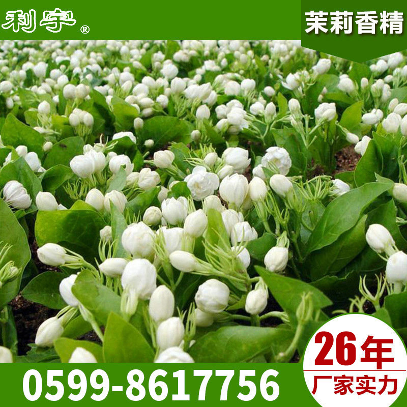 厂家供应茉莉花香精 添加剂香精 香精油溶香精