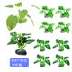 Fish tank simulation plant landscaping decoration hotel supplies plastic fake flowers fake grass cloth leaves aquatic plants simulation aquatic plants
