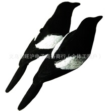 ֲ�q����ϲ�o���C���B�T�D�����C�T����ͥԺ���@�b����ϔ[��