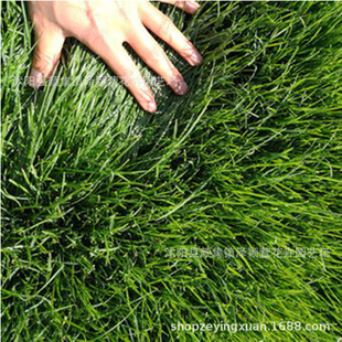 ���l����é�N�� �o�²��� �G���o�²�ƺ�ͷN�� ���|���� ���󃞻�