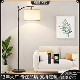 阅读台灯;落地灯;室内壁灯