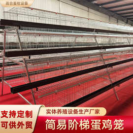 阶梯式蛋鸡笼四层四门鸡舍养鸡笼子绿食槽自带水箱养殖机械设备