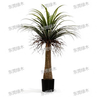Artificial Dracaena Tree ������Ѫ��