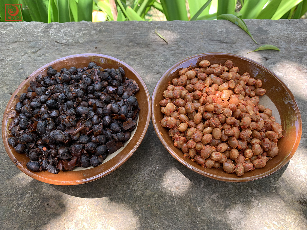 黑豆豉川民爱 (5).jpg