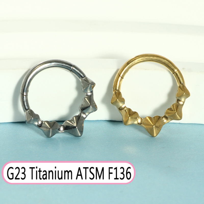 G23 Titanium Oval Zircon Septum Nose Ring Closed Ring Earring Cochlear Piercing Jewelry detail image 10