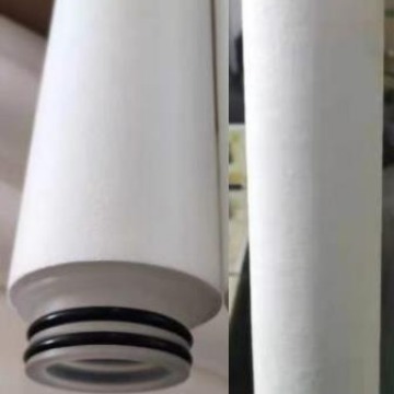 ��Ҷ��о�������֧����о����