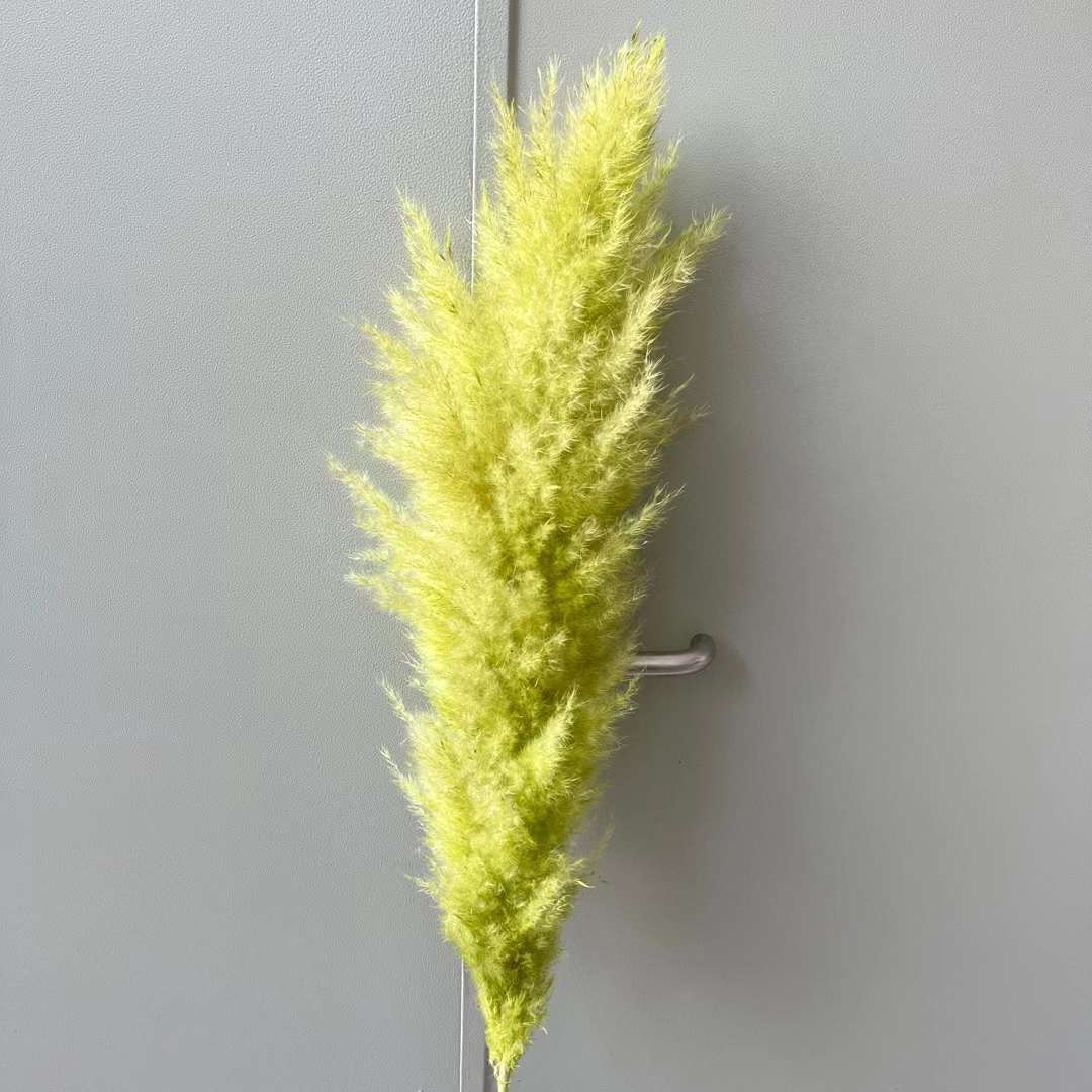 녹색(꽃 스파이크 50+)