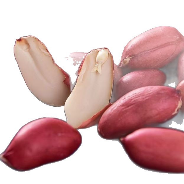 代发红皮花生米新货生红衣花生新煲汤四粒花生仁不带壳新鲜商用|undefined