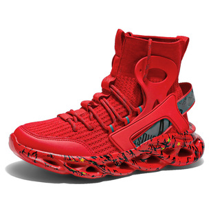 2024�ߎ͏����w���\��Ь�W�t�����羳��a��Ь���w�¿�T�f���_��