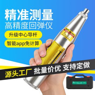 Factory Direct Sales Rebound Meter, Compression Resistance, High Strength Digital Display Mechanical Rebound Meter, Integrated Concrete Concrete Detector