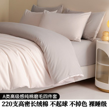 类220支磨毛四件套秋冬加厚色被套床单床笠式床上用品厂批发
