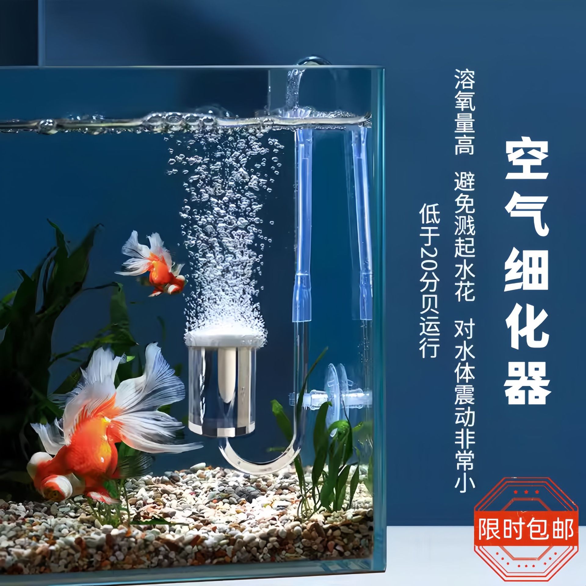 aquarium