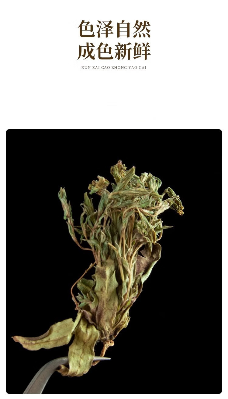 Viola Herb Zi Hua Di Ding 500g Dried Whole Herb Traditional Chinese Herbal Tea specifications