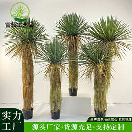 仿真绿植稻草人假植物盆栽蓝长序龙舌兰树室内外装饰丝兰树摆件