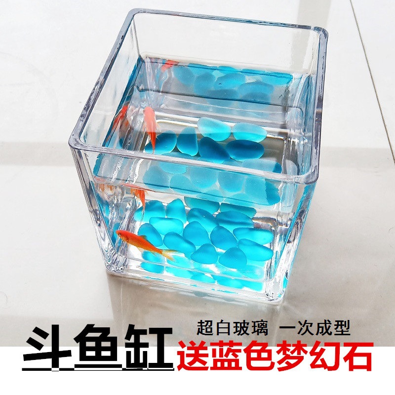 Square creative glass aquarium for office