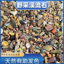 厂家直发原生溪流石河流鹅卵石鱼缸造景垫底石花盆装饰铺面石天然