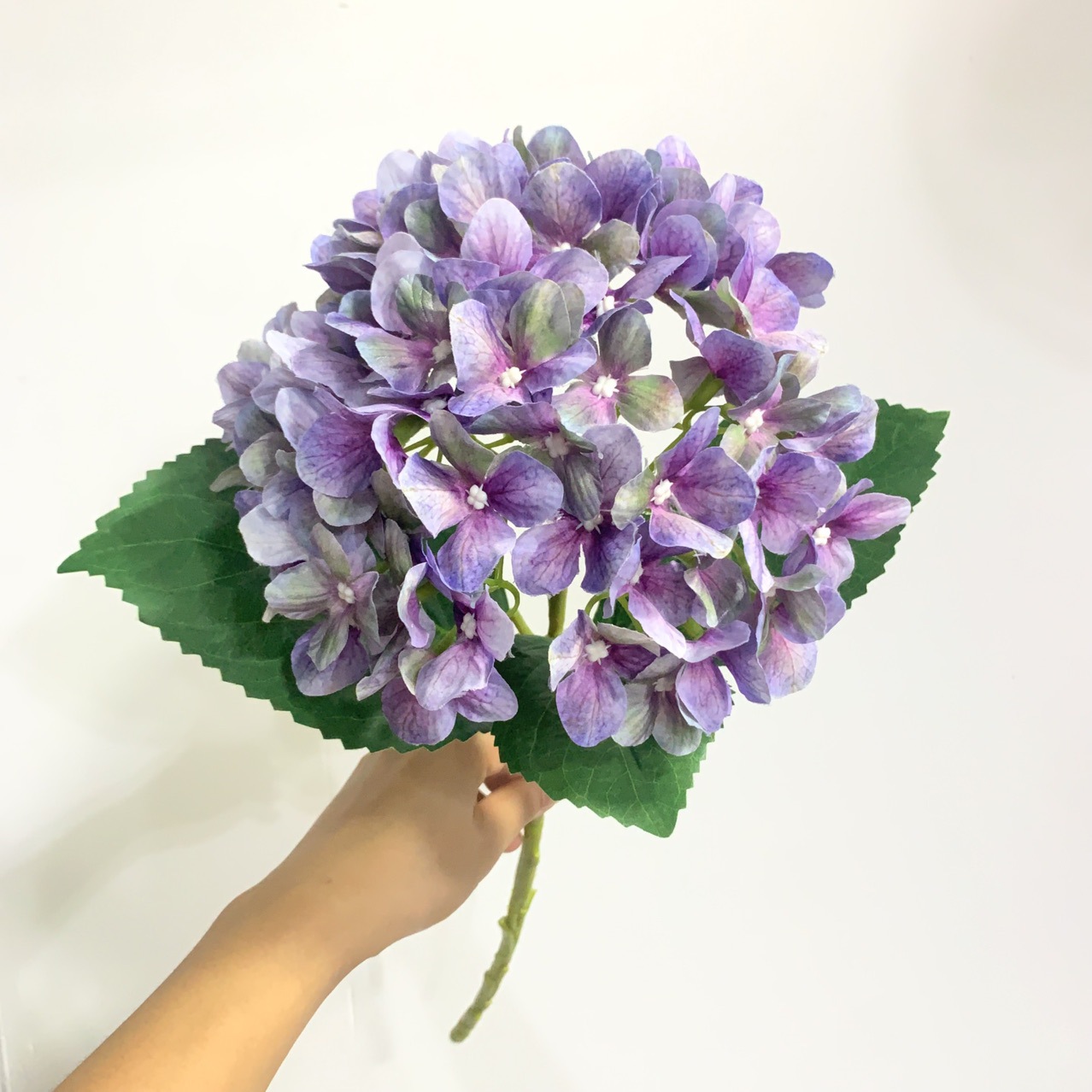 밝은 보라색