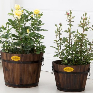 ����ľ����ľͰ�N�����脓��ľ�|�����Ϙ��AͰ�̨�N�������̼��