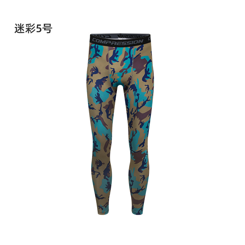 위장 5