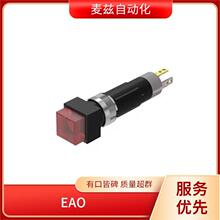 EAO   ����ָʾ�� ������  45-506.1100
