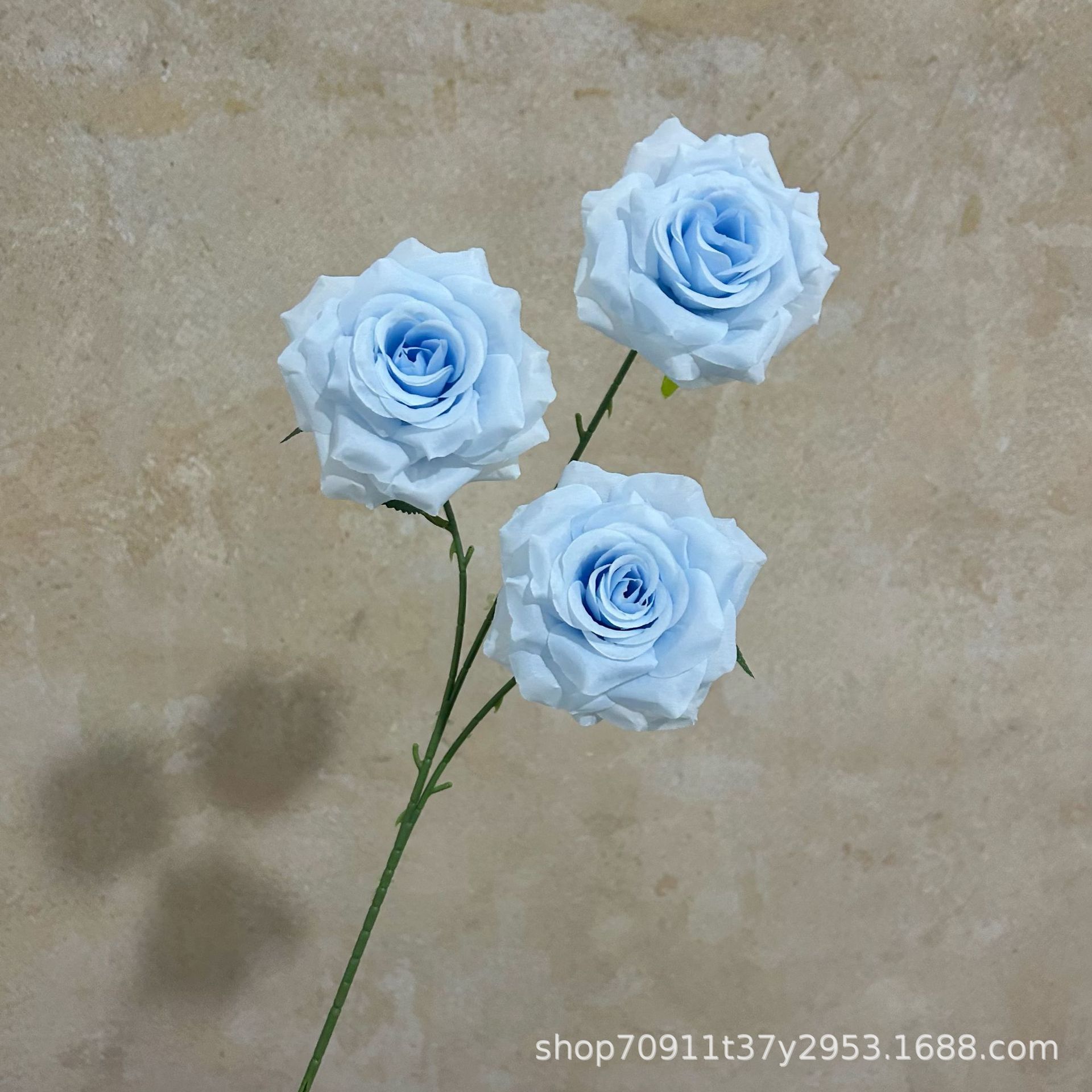 잎이 있는 하늘색