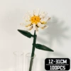 Daisy C1