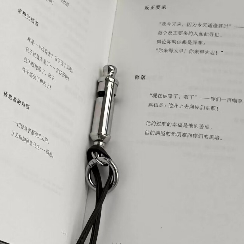 LEM* 同型ホイッスルペンダントネックレス、シンプルで高級感のあるデザイン、ニッチで多用途、調節可能なブラックレザーロープネックレス|undefined