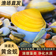 �S��͘�����~�S���ˮ�Ӱ���ˮ������坍�����^�p���~���^�p�~