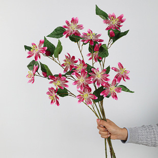 �����F��ɏ�ٻ�3�^������������͏d�b��Ҿӿ羳�b�������