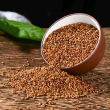 菟丝子茶批发包邮菟丝子水洗色选中药材原料内蒙古吐丝子菟丝子