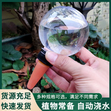 300毫升自动浇水工具亚马逊懒人浇花滴灌系统渗水淋花器滴灌管