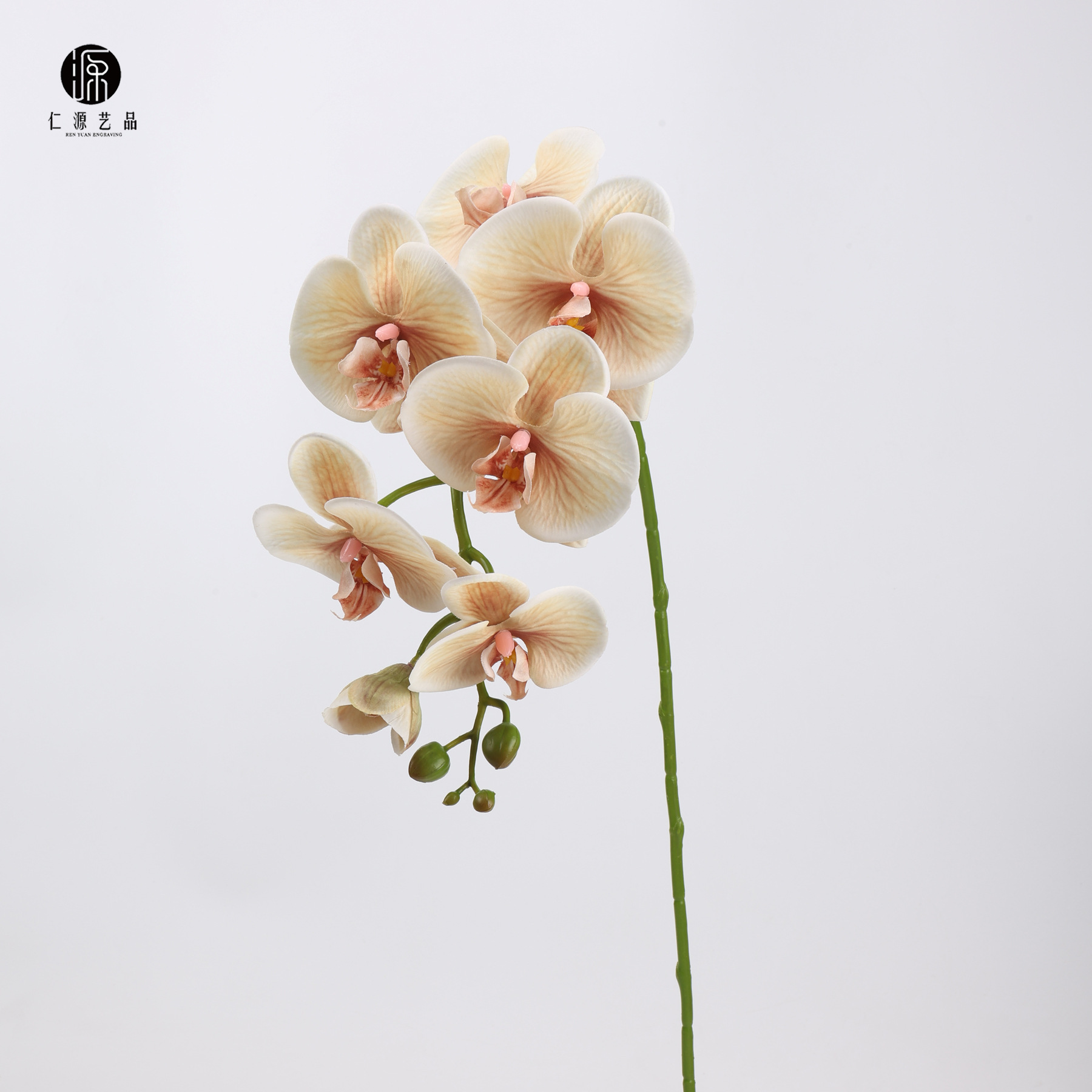 카라멜 색상
