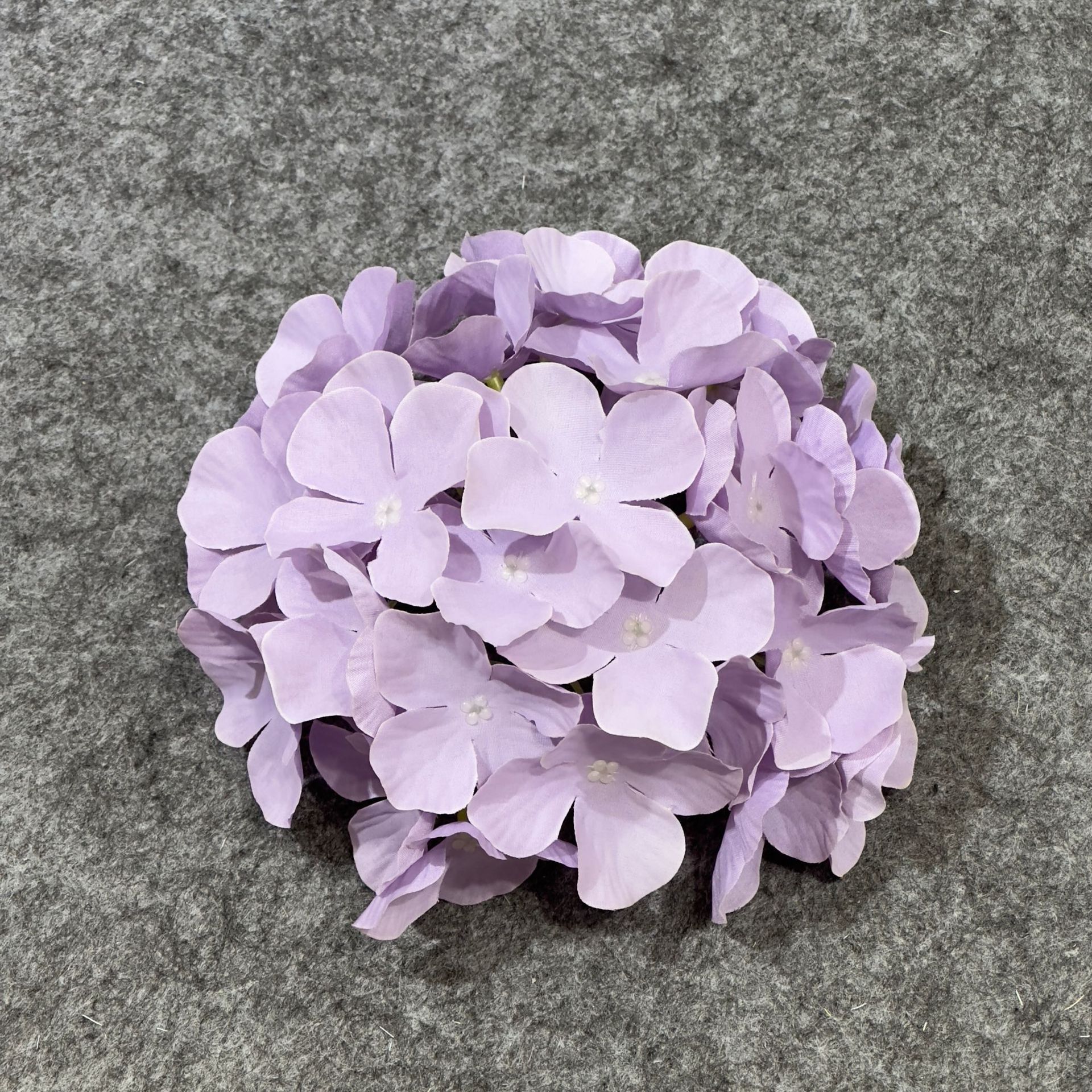 수국 꽃 머리 보라색