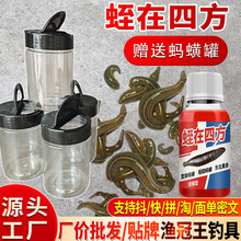 蛭在四方蚂蟥王水蛭诱食饵料诱饵户外野钓捉蚂蝗蟥诱小药夏季高温
