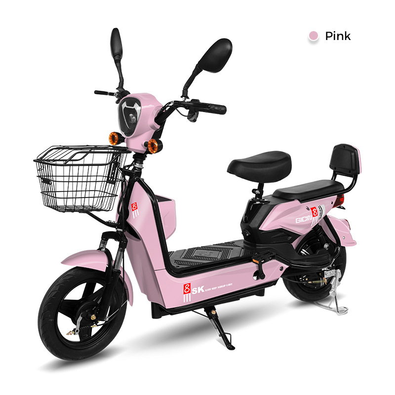 FL - 0002 - Golden Eagle nuevo fabricante de vehículos eléctricos al por mayor de dos ruedas coche de batería fábrica de bicicletas eléctricas E-bike