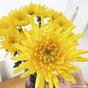 ���r������ֱ�l���r�S�׾ջ������������ռ������_�r��