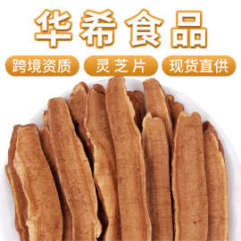 批发长白山灵芝片散装新货整个灵芝代用茶500g大货包邮赤灵芝切片
